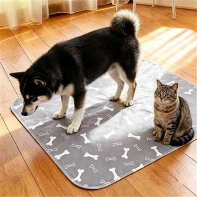 Custom-Print Dog Pee Pads